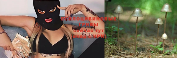 ECSTASY Покачи