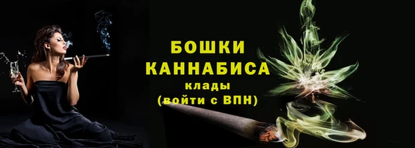 ECSTASY Покачи